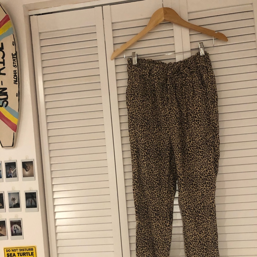 Cheetah Hollister high rise pants 🐆